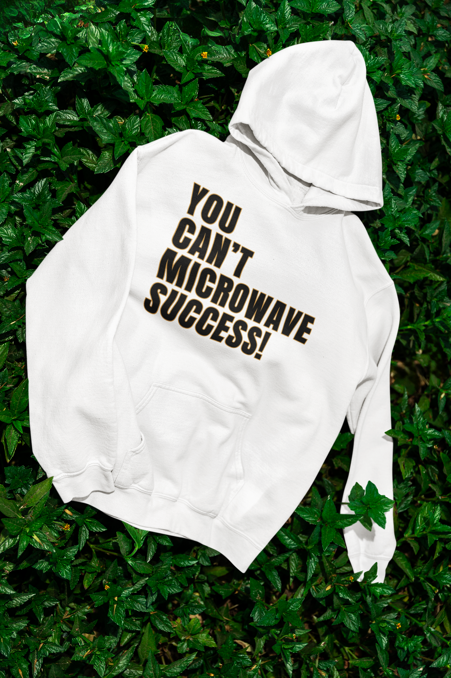 You Can't Microwave Success Hoodie